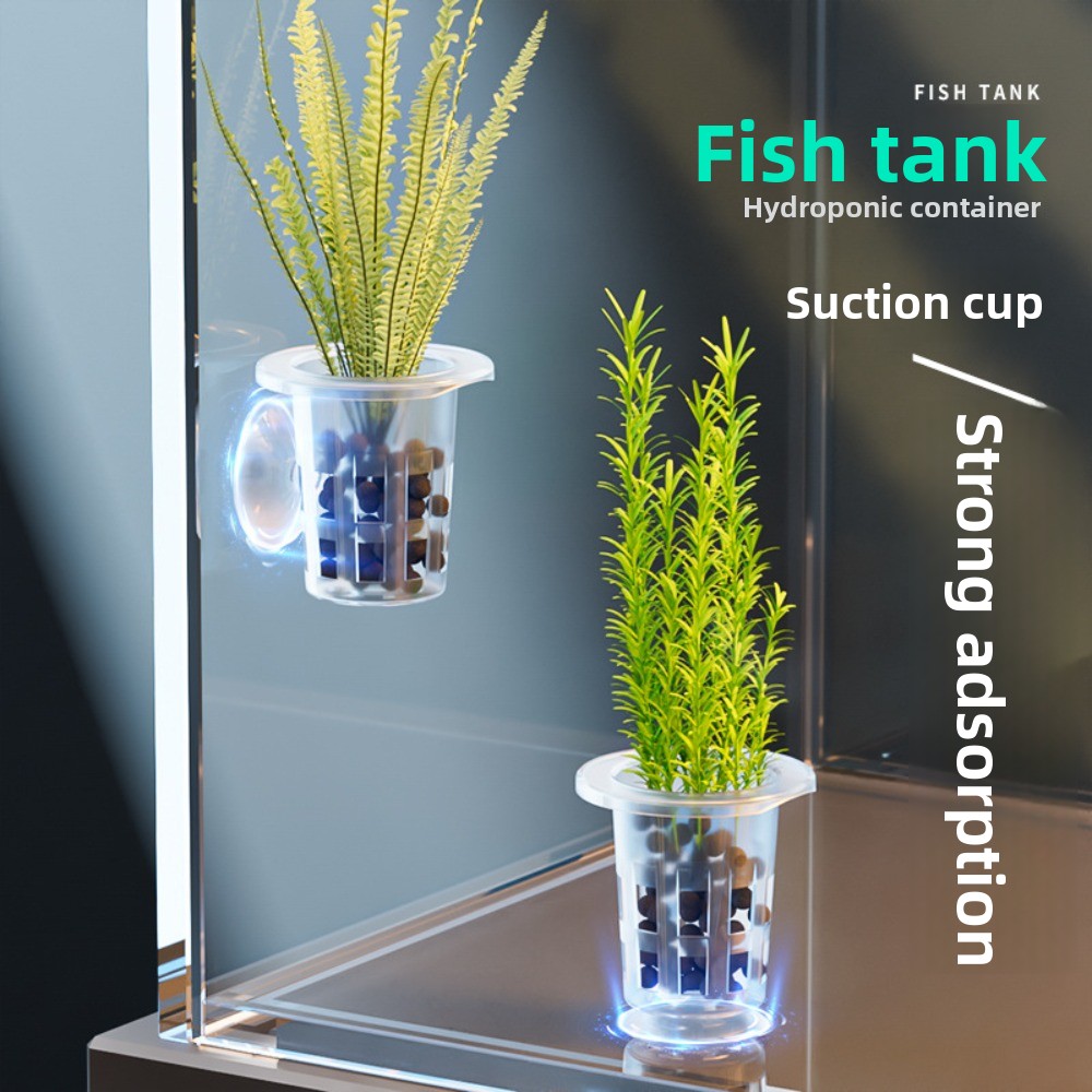10Pcs Transparent Plant Hydrop - Plant Aquarium Pot recension och pris