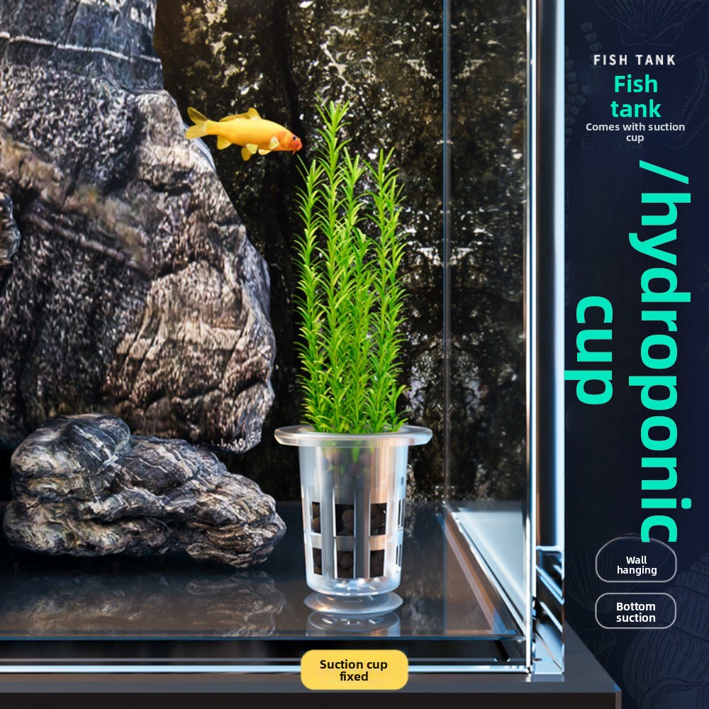 10Pcs Transparent Plant Hydrop - Plant Aquarium Pot recension och pris