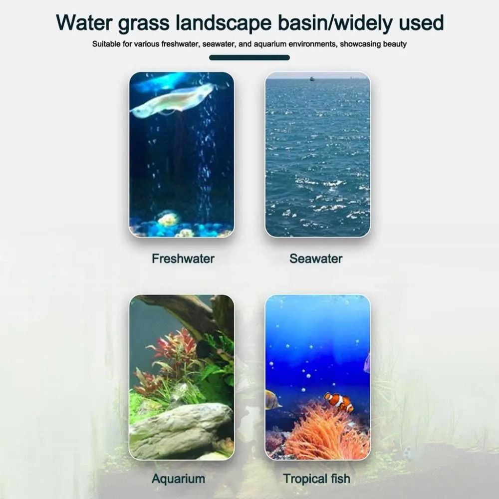10Pcs Transparent Plant Hydrop - Plant Aquarium Pot recension och pris