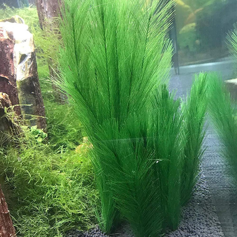 1/3Pcs 28/40cm Aquarium Fish T - Aquarium Plants Live recension och pris