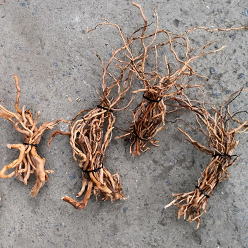 Natural Driftwood Root Trunk T - Aquarium Driftwood recension och pris