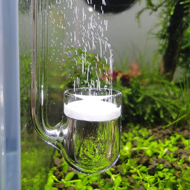 D0AD Glass CO2 Diffuser for Aq - Aquarium Liquid Carbon recension och pris