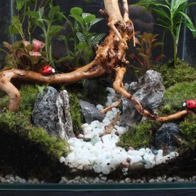 Natural Tree Trunk Driftwood A - Aquarium Plant Substrate recension och pris
