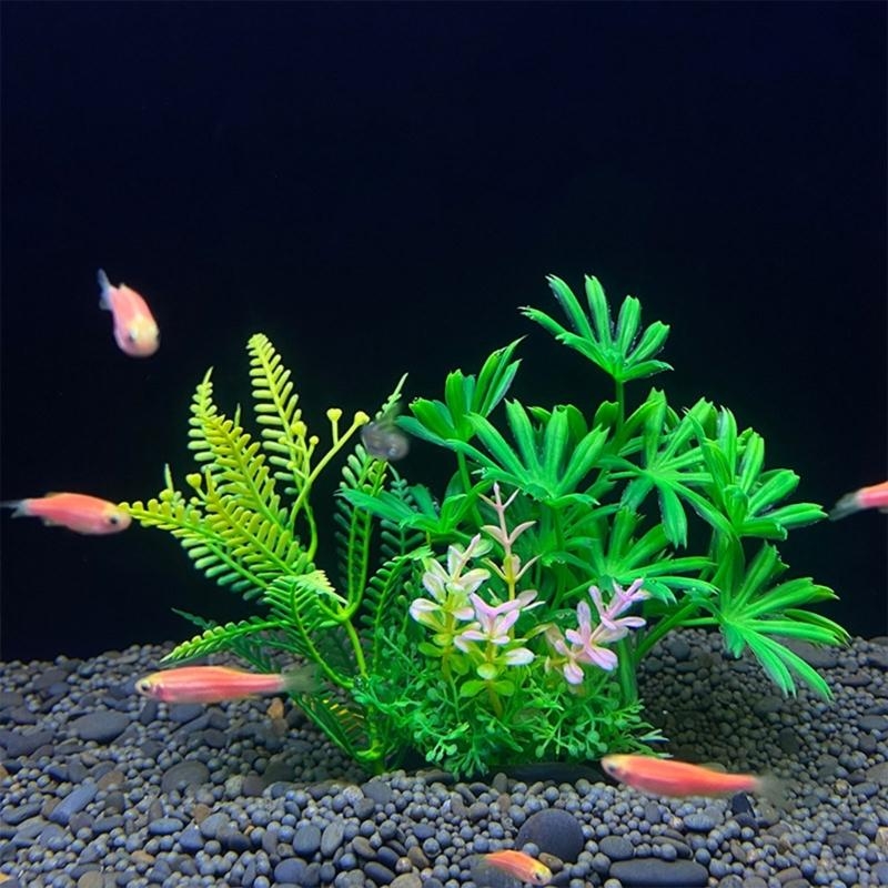 Artificial Aquarium Decoration - Live Plant Aquarium recension och pris