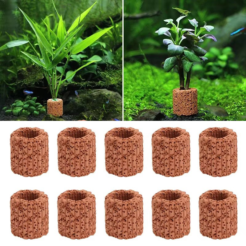 Aquatic Plant Fixed Ring for A - Aquarium Plants Live recension och pris