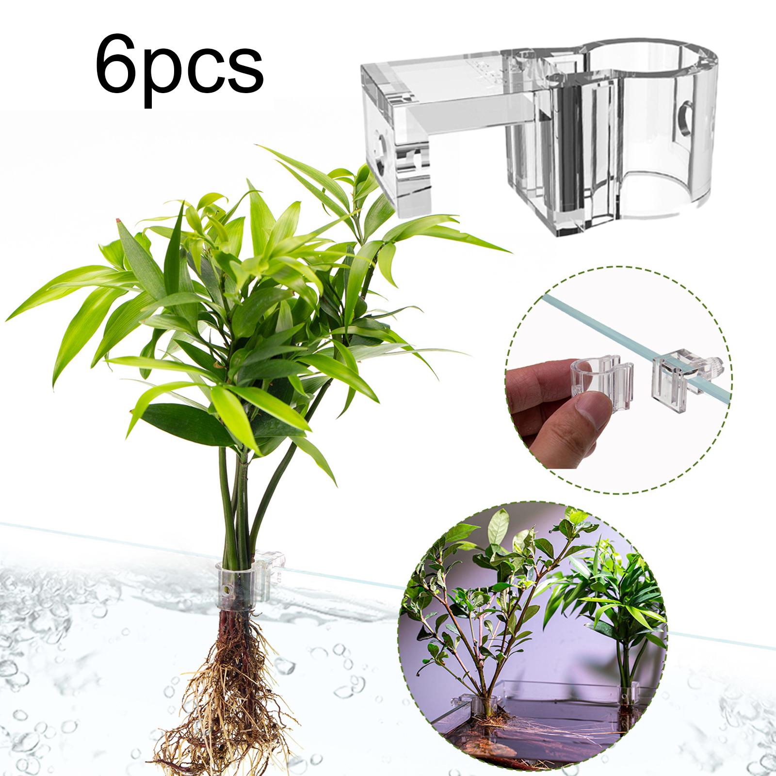 6Pcs Aquarium Plant Holder Sup - Aquarium Fertilizer recension och pris