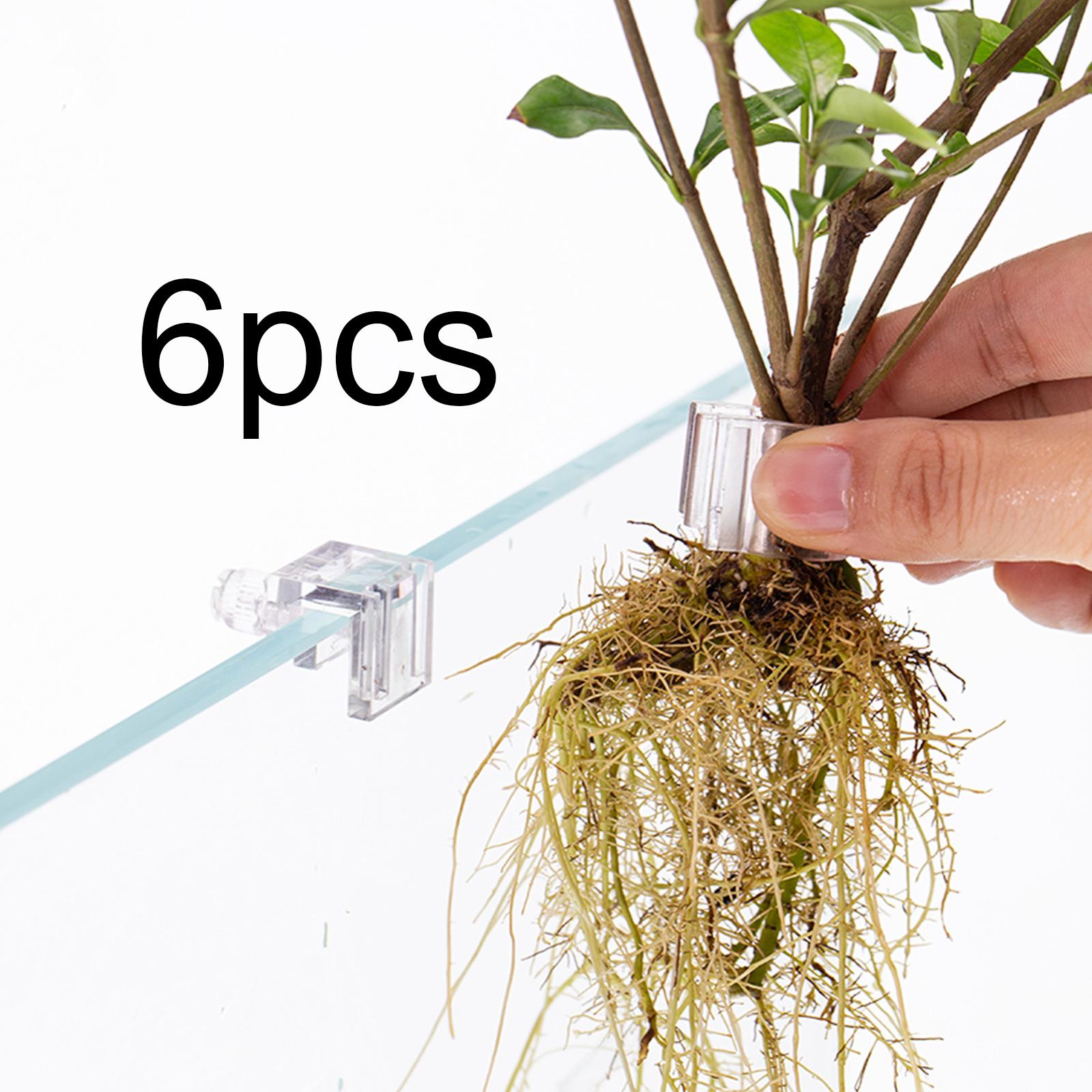 6Pcs Aquarium Plant Holder Sup - Aquarium Fertilizer recension och pris