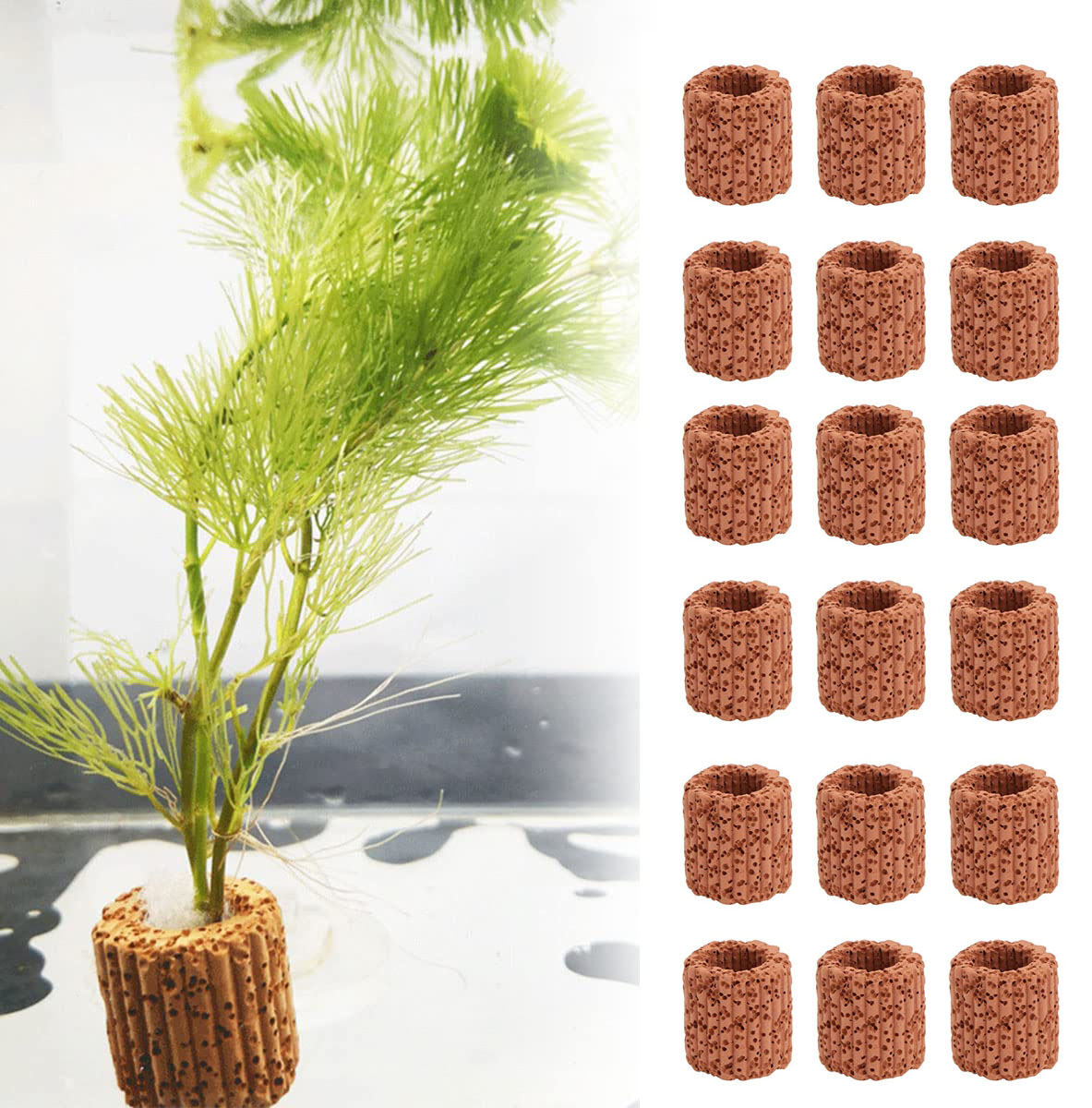 10/20Pcs Aquatic Water Plant F - Plant Aquarium Pot recension och pris