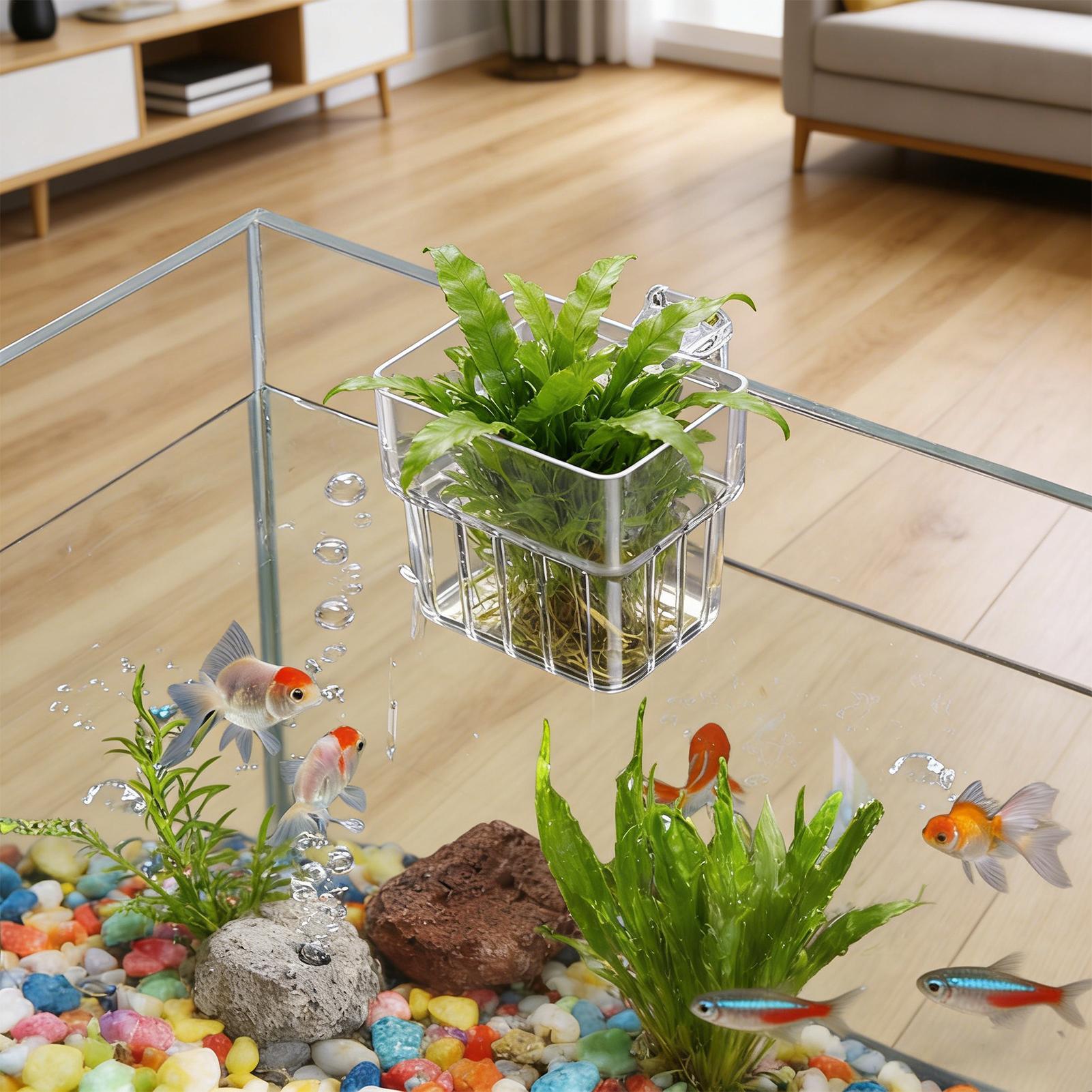 Transparent Hangable Aquarium  - Plant Aquarium Pot recension och pris