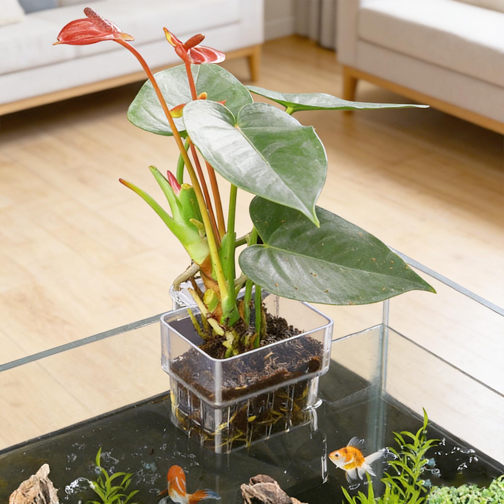 Transparent Hangable Aquarium  - Plant Aquarium Pot recension och pris