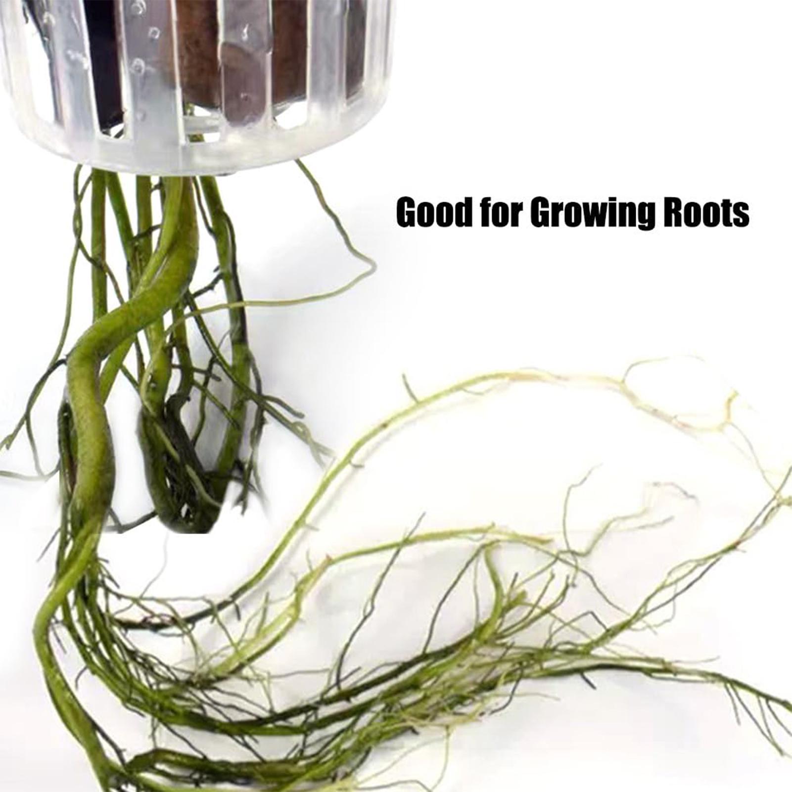 2PCS Hangable Aquatic Plant Ho - Plant Aquarium Pot recension och pris