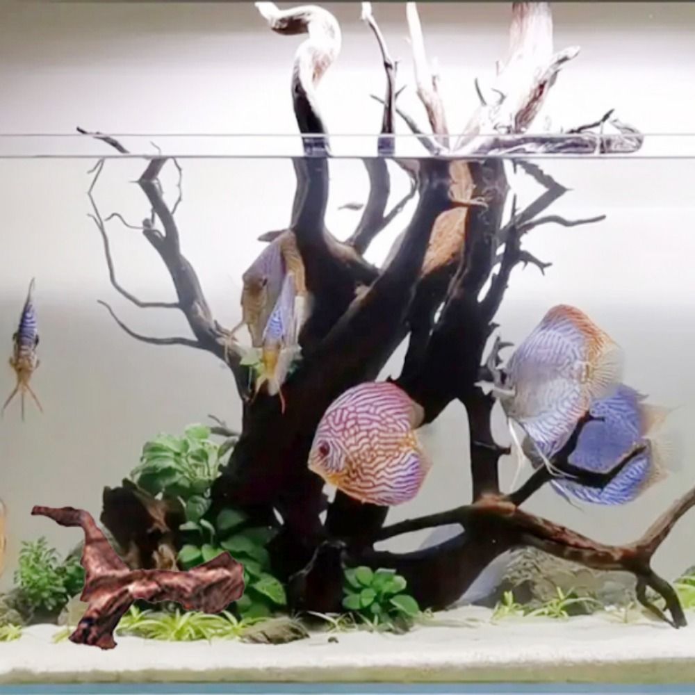 Creative Irregular Shape Coral - Aquarium Plant Substrate recension och pris