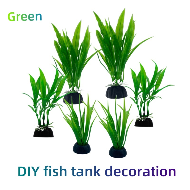 6pcs Packs Aquarium Plants, Fi - Live Plant Aquarium recension och pris